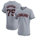 Mdoa C.Guardians #75 Connor Brogdon Player Gray Road Limited Elite Home Stitched Jerseys